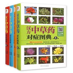 汉方中草药对症图典 第1 4册1 4全4册李冈荣著精编300种常见的青草药 ...