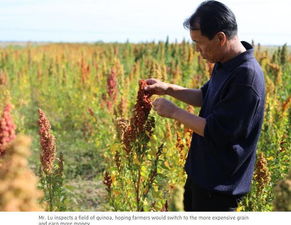 中国那些事儿 中国瑜伽第一村 扶贫又扶心 外媒点赞中国富有创造力的扶贫之路