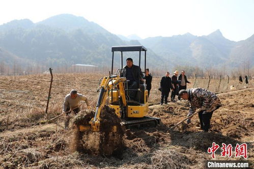 重庆三峡库区 机械化助力春耕生产