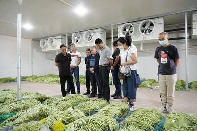 致公党保山市委开展保山市物流产业发展情况调研